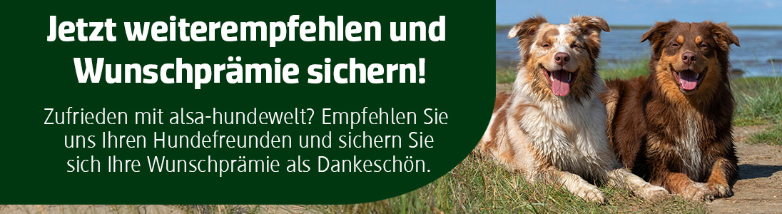 Freunde werben alsa-hundewelt